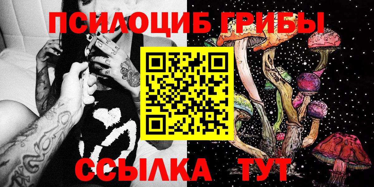 Псилоцибиновые грибы GOLDEN TEACHER  Вход с VPN  Псилоцибиновые грибы мицелий  Кудрово 